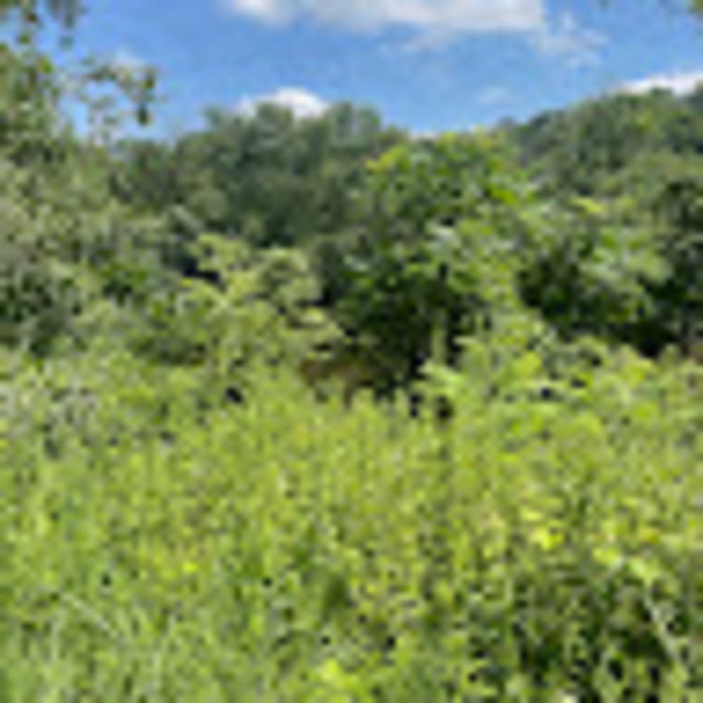 Meet your Posher, Bridget